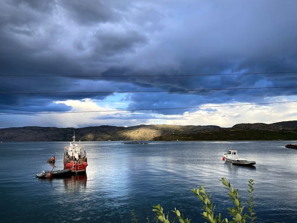 Фотография автора Юлия Шумейко