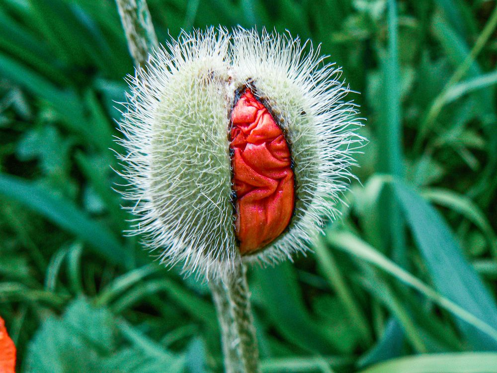 Photograph by Алексей Борисов