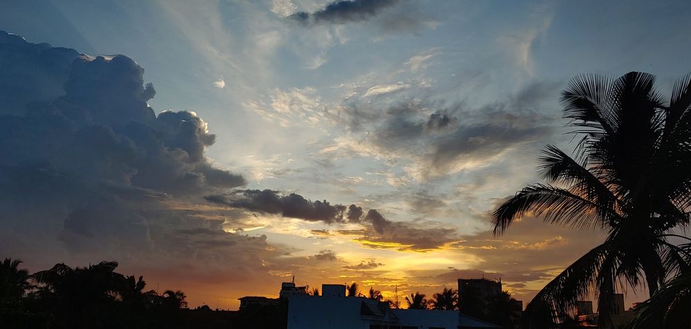 Photograph by Elena Chandran