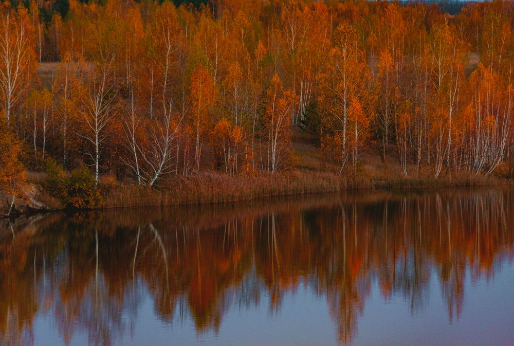 Photograph by Sodomelle Flavian