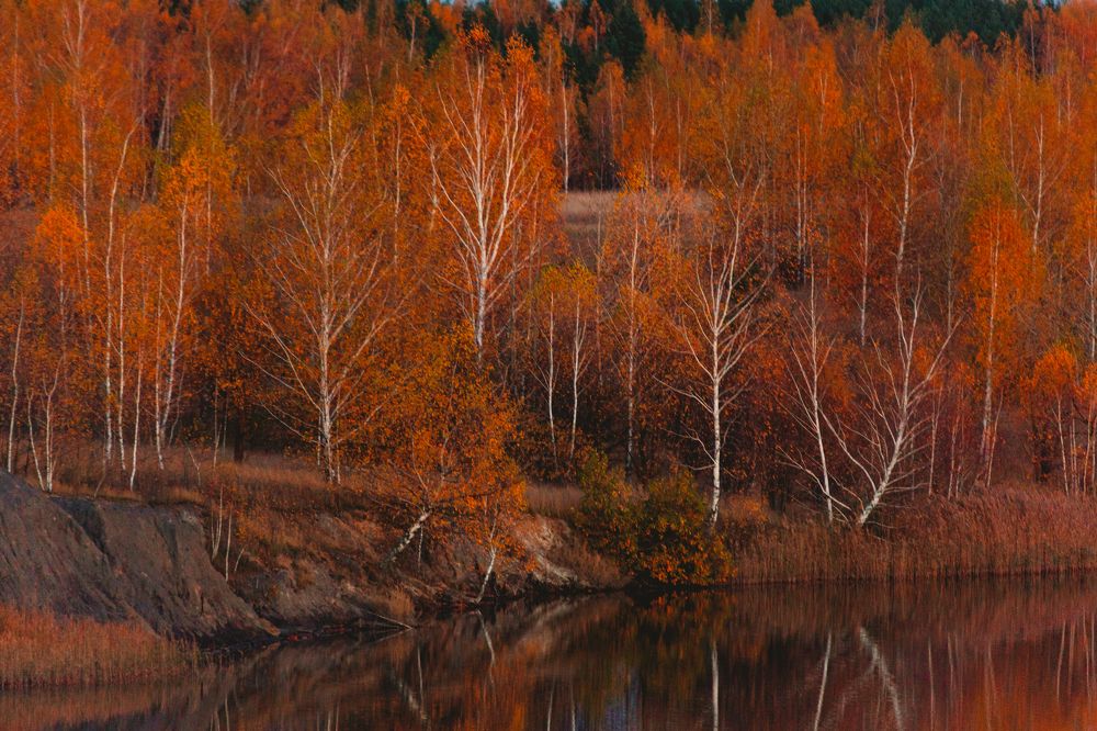 Photograph by Sodomelle Flavian