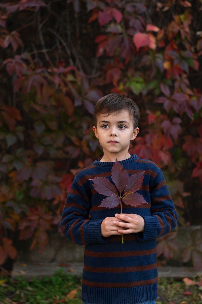 Photograph by Эльвира Бркич