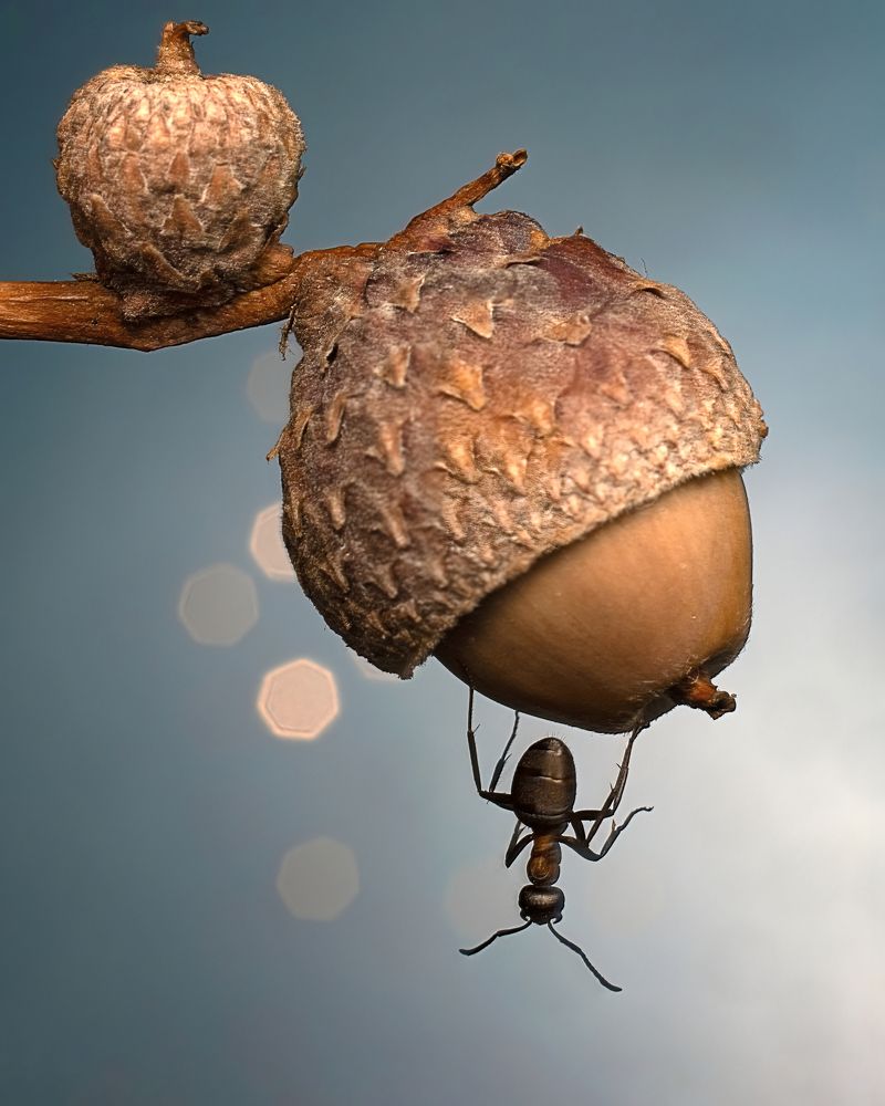 Photograph by Людмила Железнова