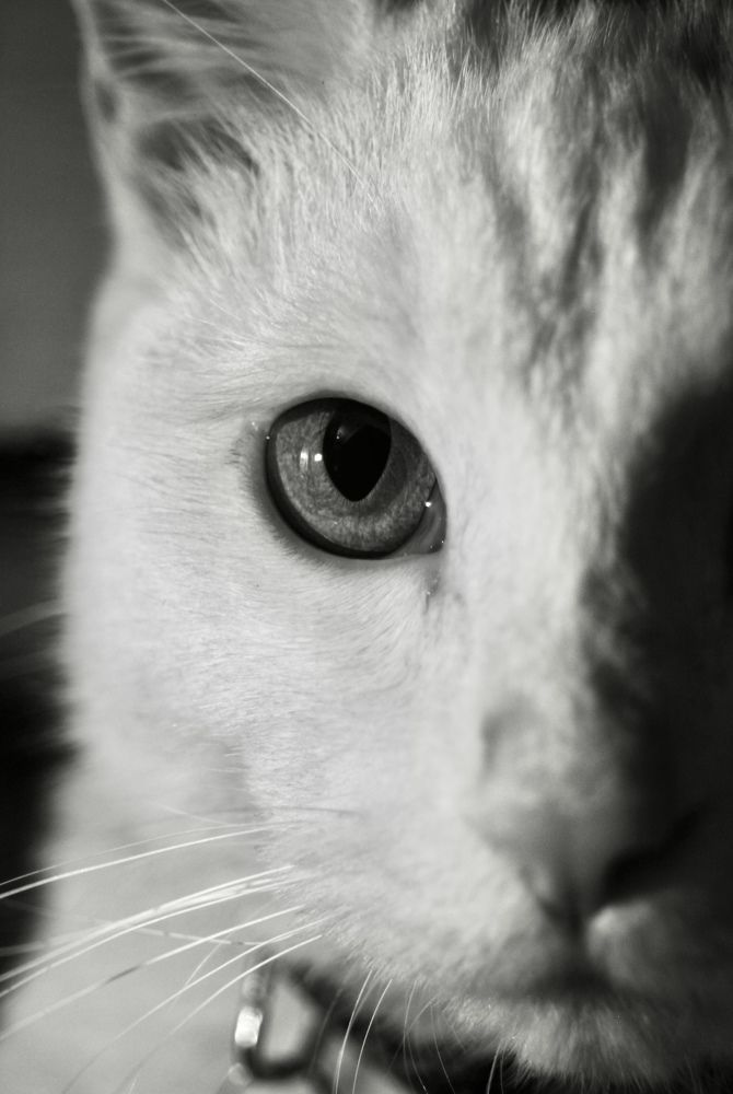 Photograph by orgil Bat