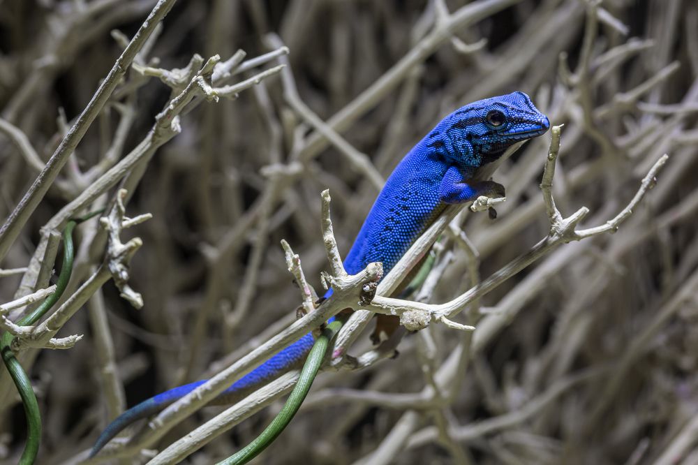 Фотография автора FATIH GONUL