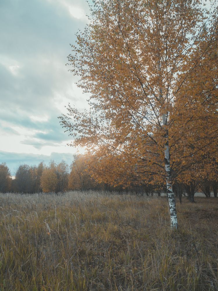 Photograph by Fadeeva Ekaterina