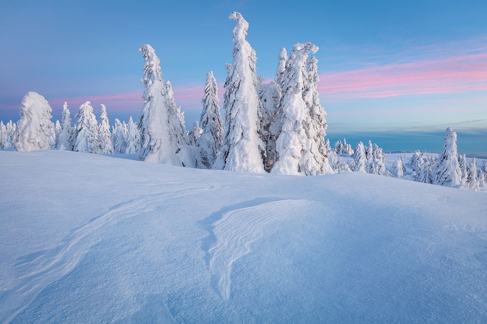 Photograph by Milan Gonda