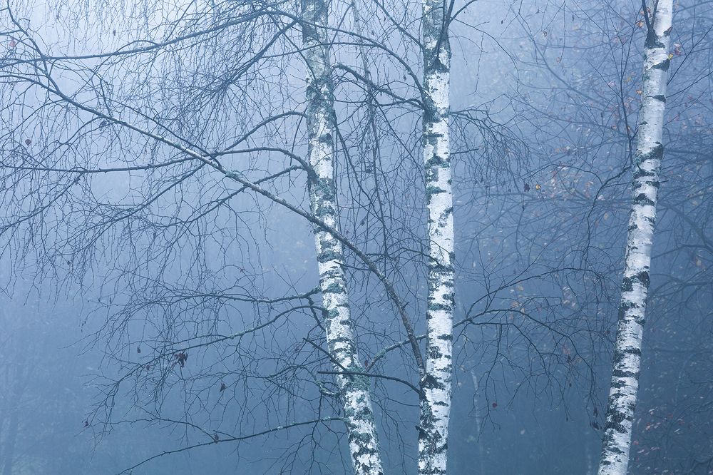 Photograph by Milan Gonda