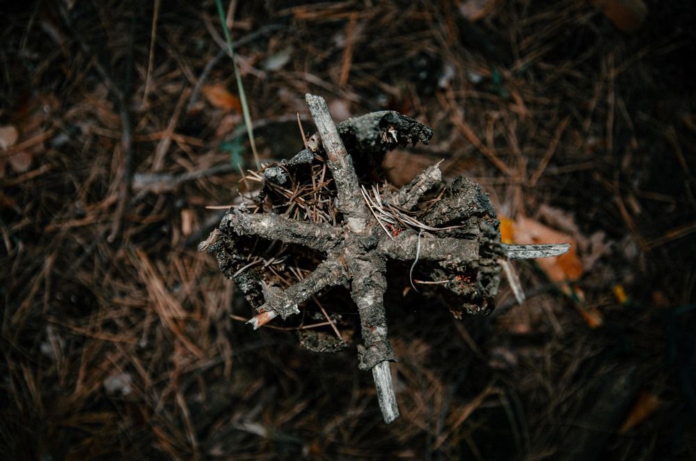 Photograph by Алексей