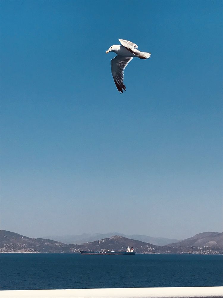 Photograph by Anca Hultoana