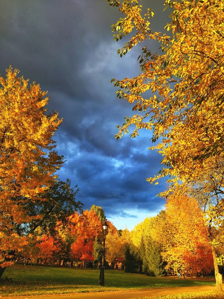 Photograph by Татьяна Мазок