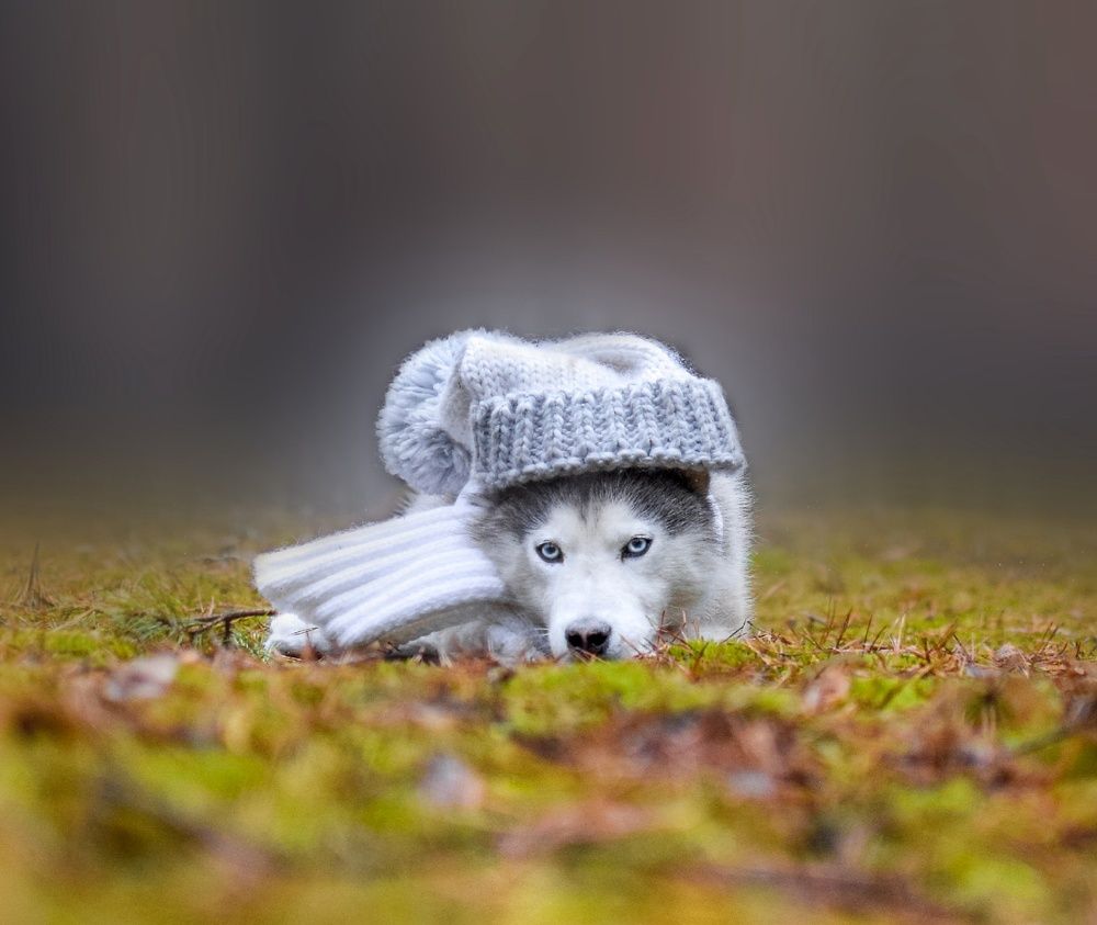 Фотография автора Мария Яропольская