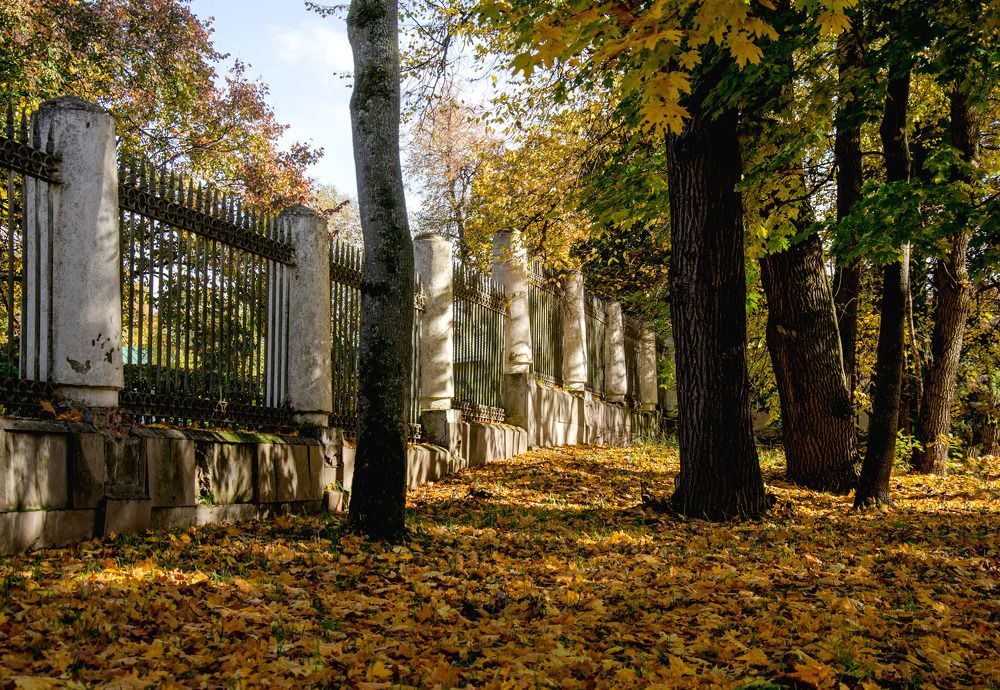 В уголке осеннего парка.