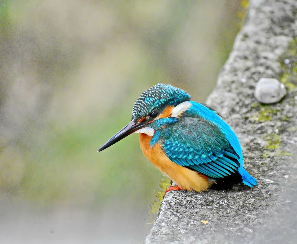 Фотография автора лилия беланова