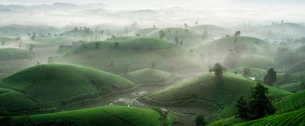 Photograph by Phung Ngoc Lam