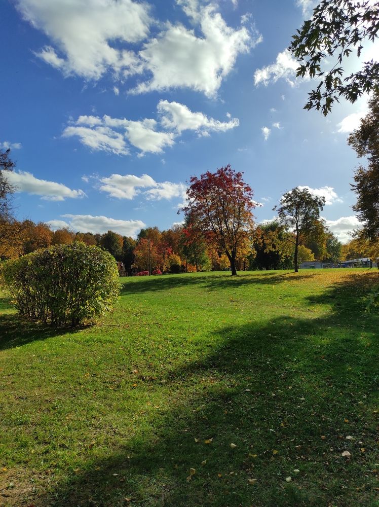 Фотография автора Lena Dybal