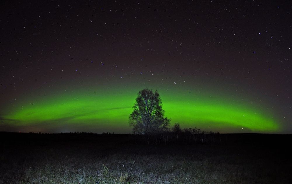 Photograph by Юрий Яковлев