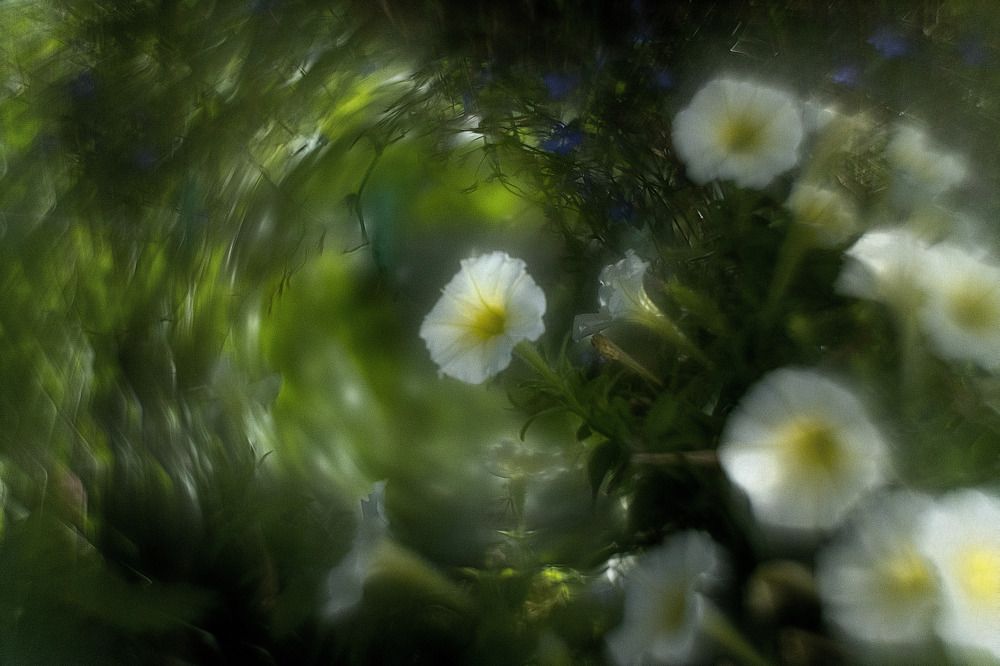 Photograph by Александр Стрельченко