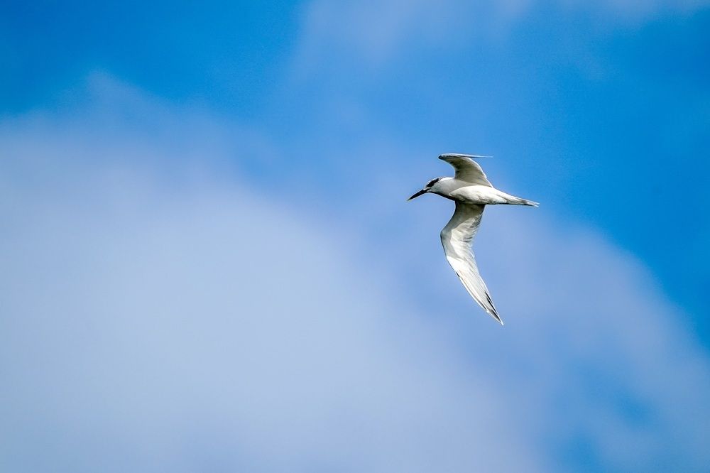 Фотография автора Jian Ma