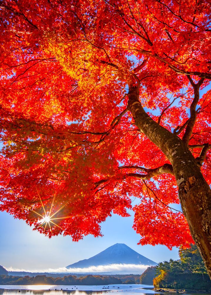 Photograph by Phùng Minh Long