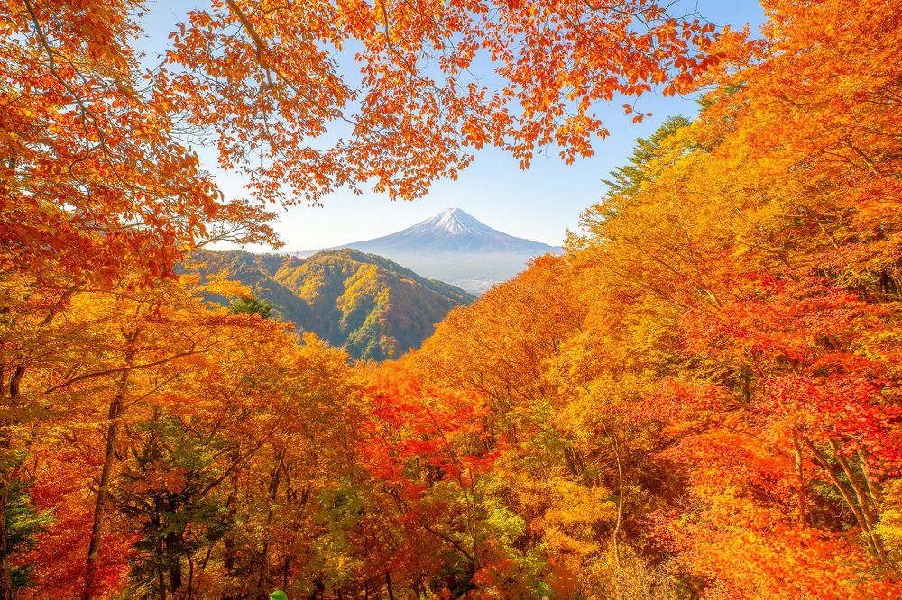 Photograph by Phùng Minh Long