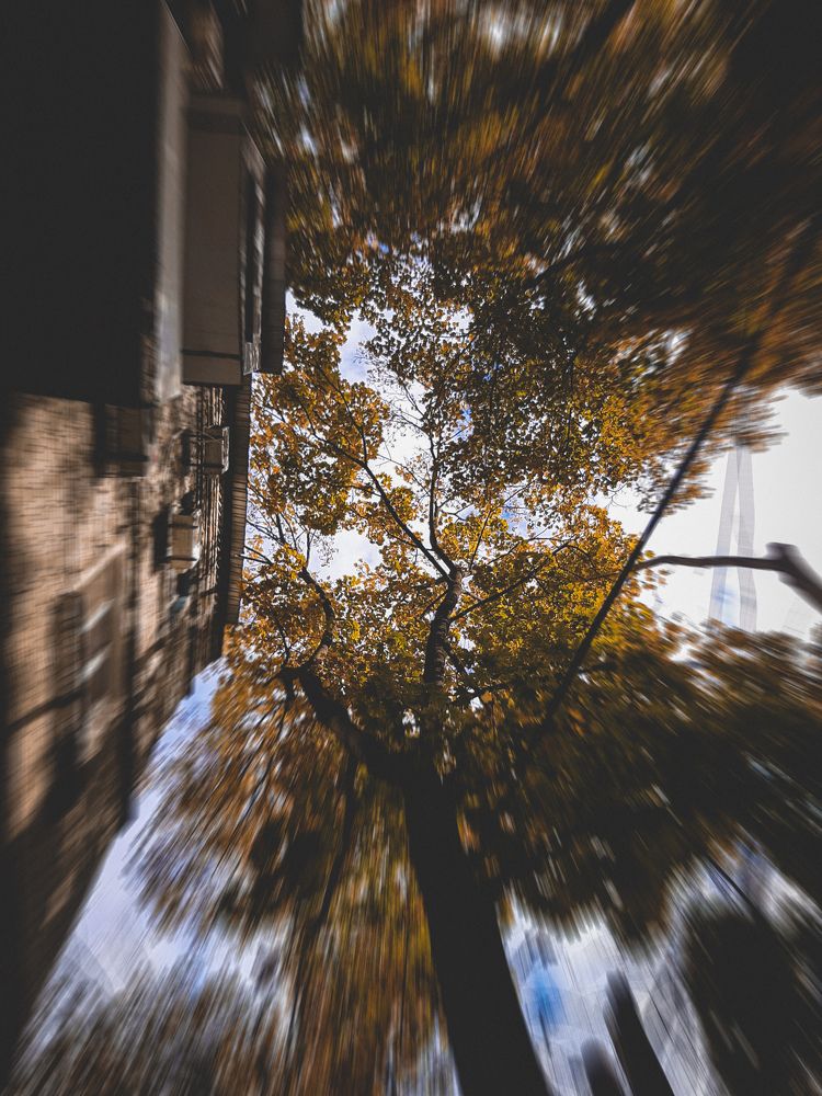 Фотография автора Виктория Мешкова