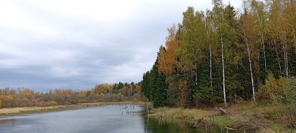 Photograph by Олеся Жакова