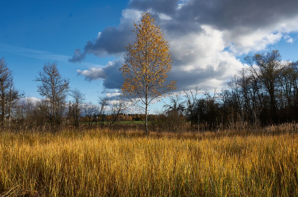 Photograph by Александр Гуреев