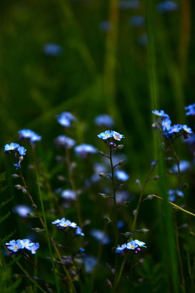 Photograph by Валерий Гудков