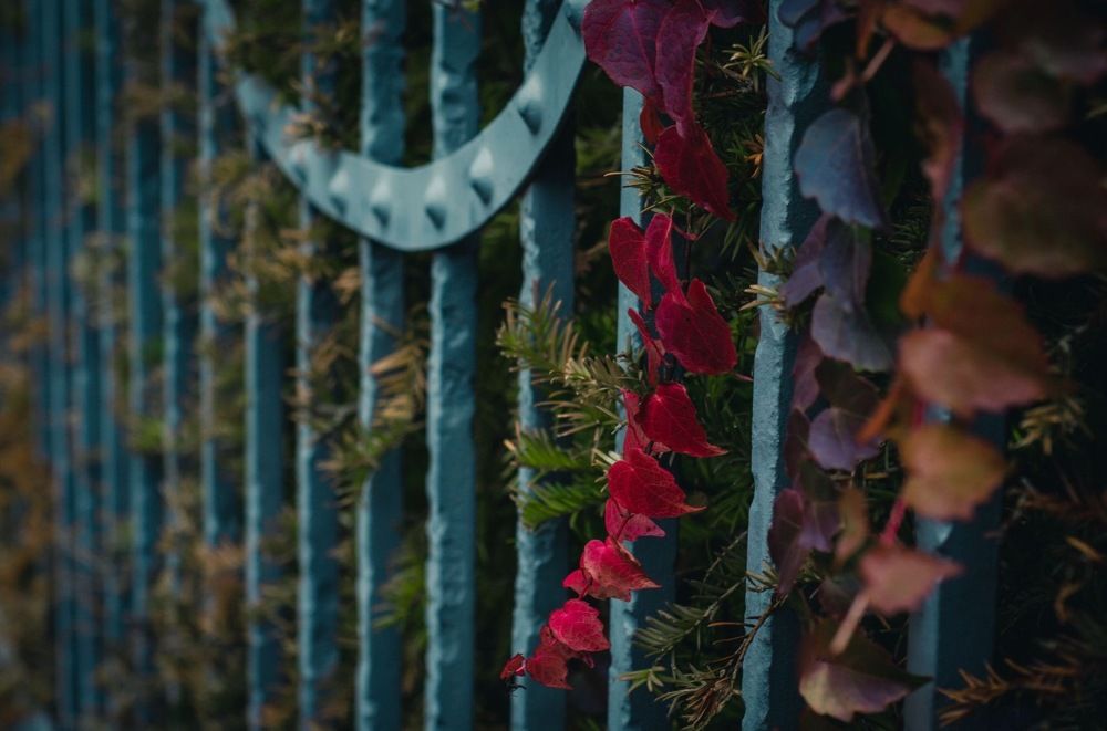 Photograph by Tatiana Chernaletskaya