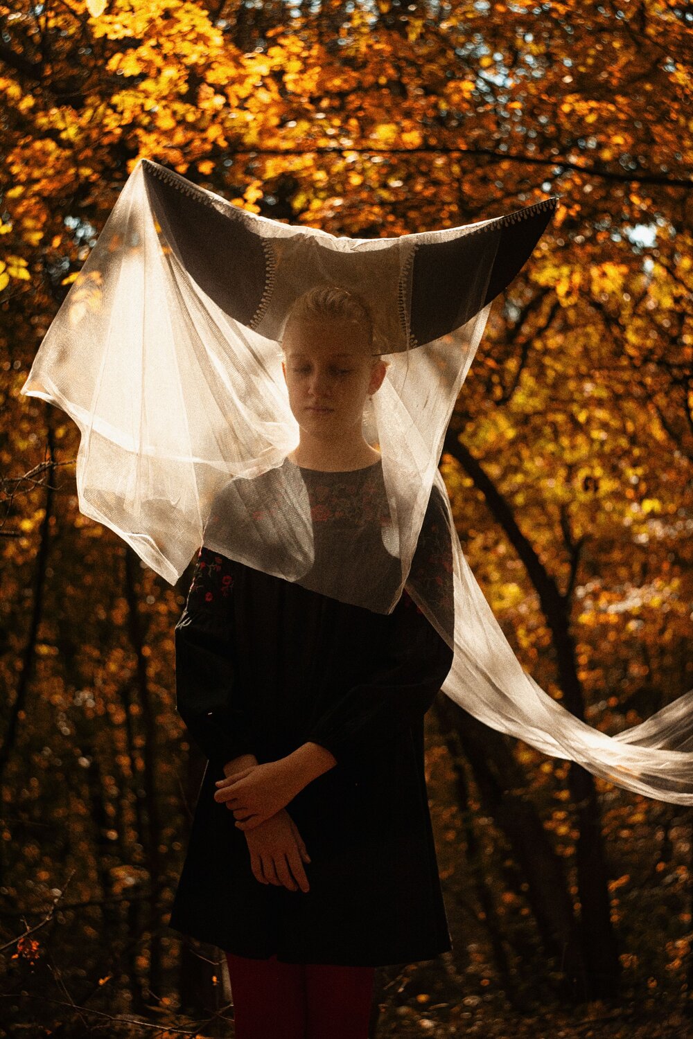 Photo #8310725
