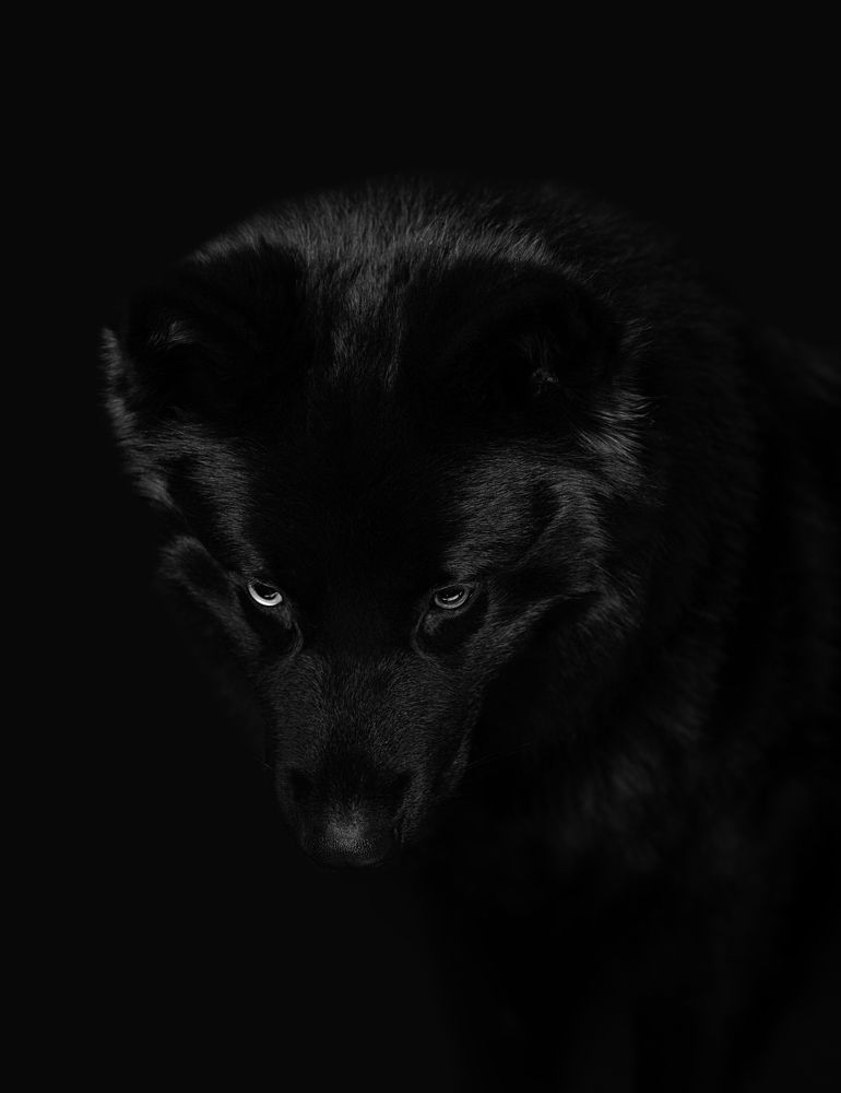 Photograph by Яковлева Лора Алексеевна