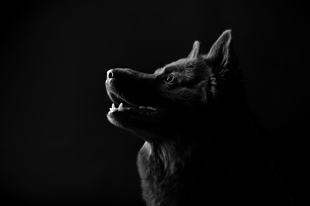 Photograph by Яковлева Лора Алексеевна