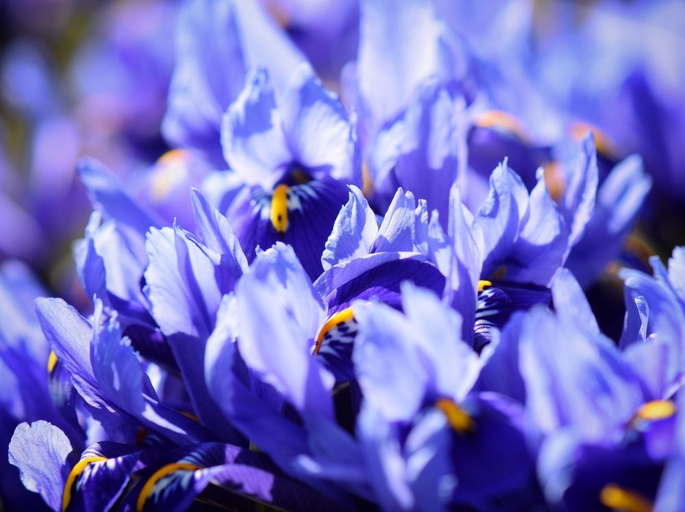 Photograph by Aleksandra Bistrova