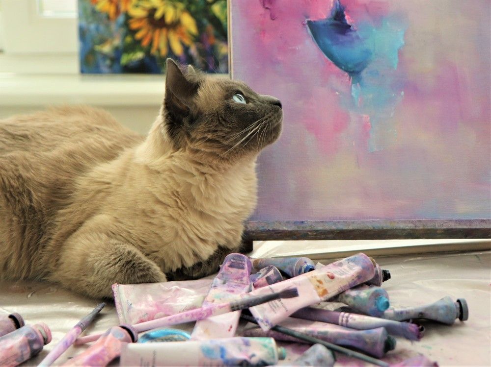 Photograph by Ват Вячеслав