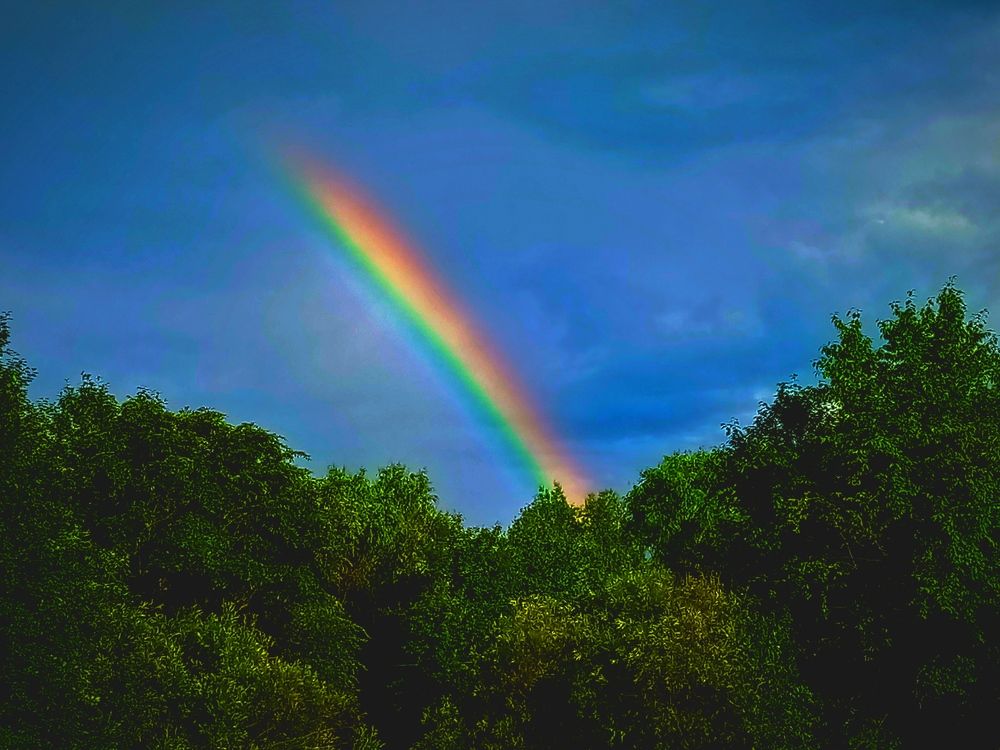 Photograph by Александра