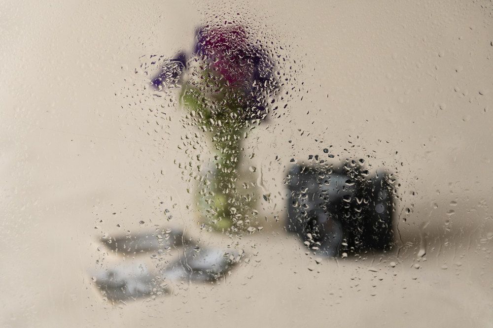 Photograph by Janusz Osika