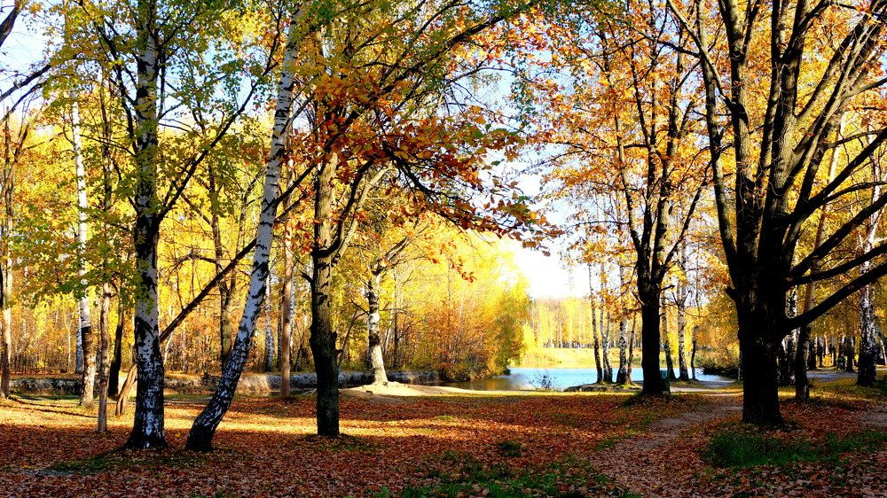 Photograph by Блюмина Елена