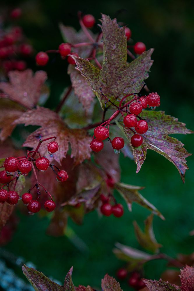 Photograph by Мария Федорова