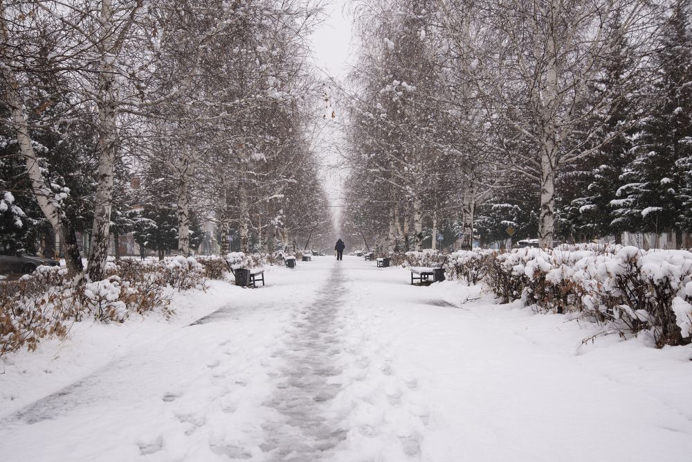 Photograph by Александр Староверов