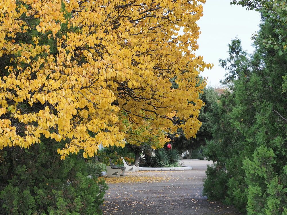 Photograph by Сергей Борисов