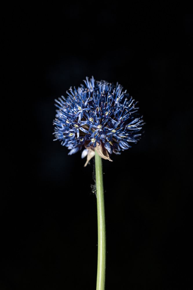 Photograph by Мария Федорова