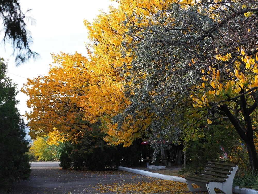 Photograph by Сергей Борисов