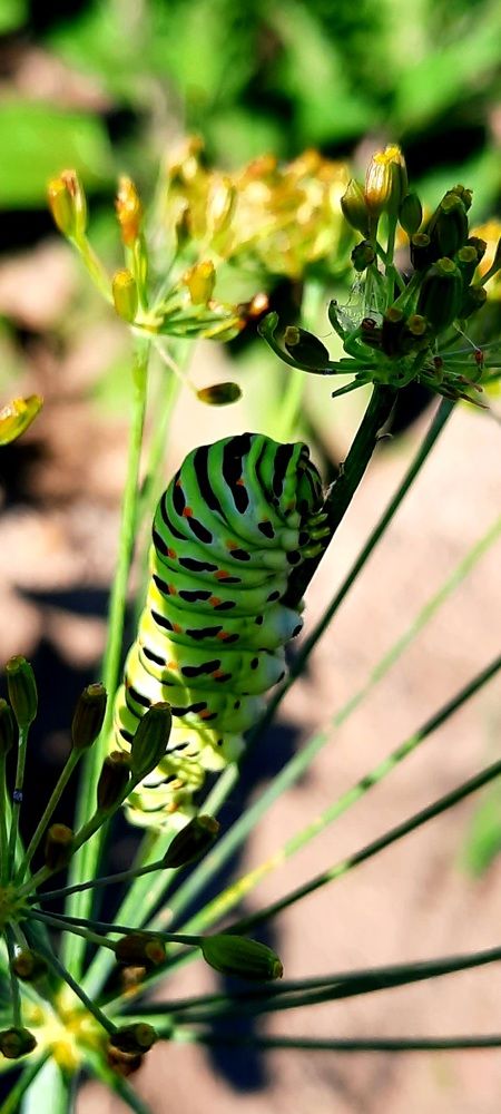 Photograph by Оксана