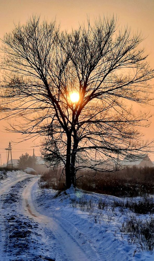 Photograph by Оксана