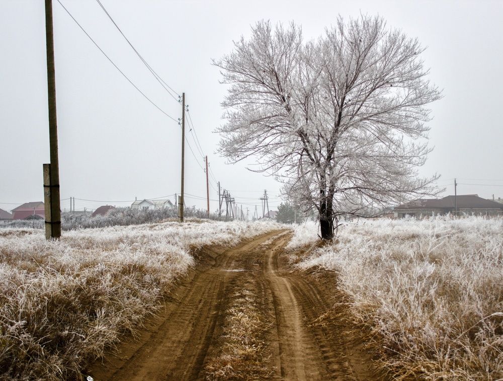 Photograph by Оксана