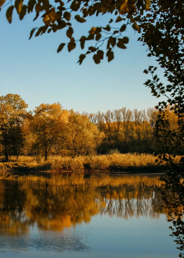 Photograph by Виктор Жулин