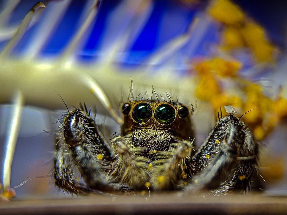 Photograph by SHAHED REZA