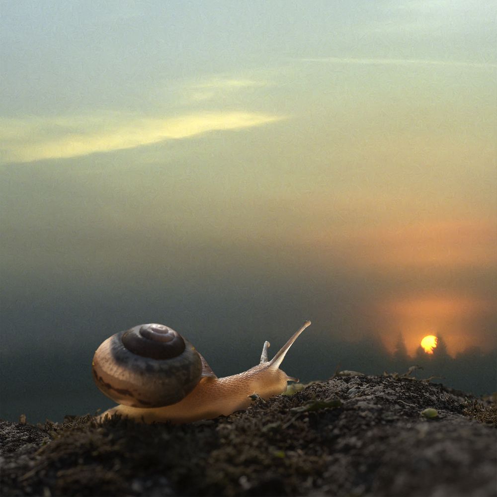 Photograph by T. Bondarenko