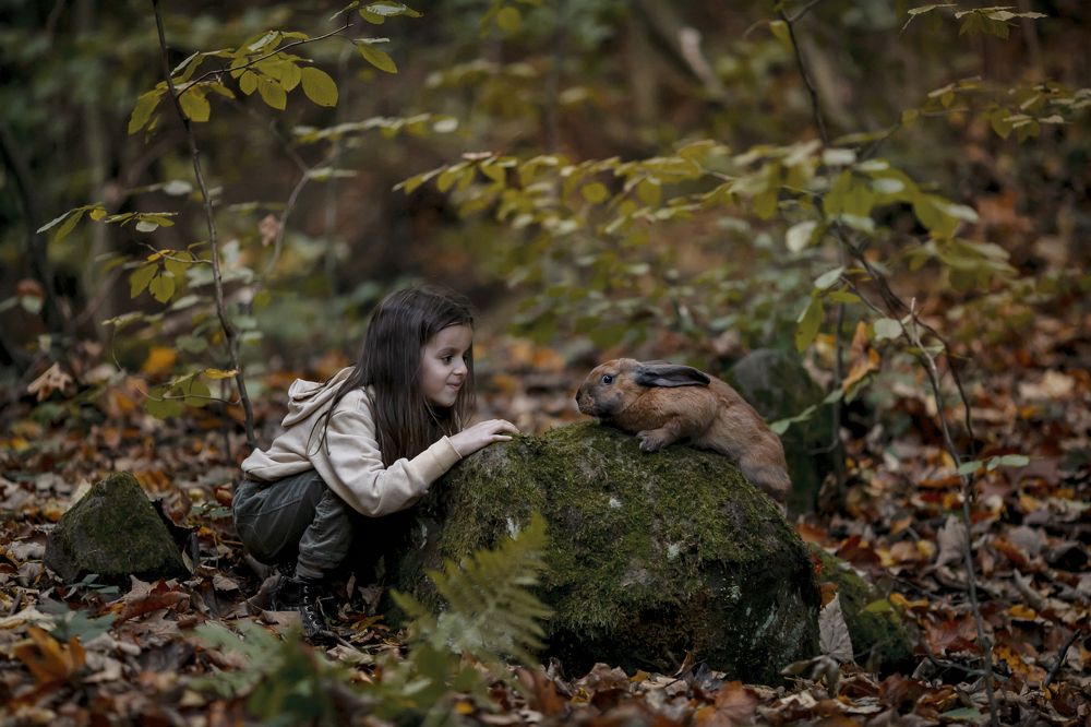 Girl and rabit in the forest